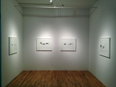 View of the show