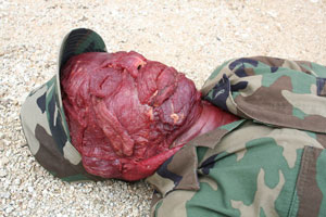 Carne de canon