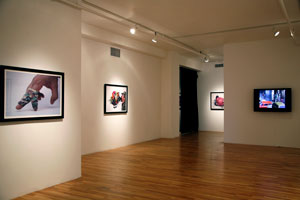 view of the show1