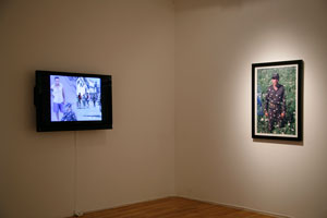 view of the show1