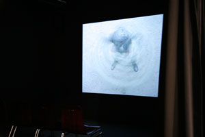 view of the show1