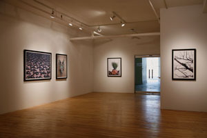 view of the show1
