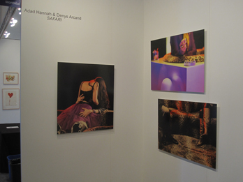view of the show 2