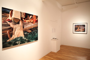 view of the show1