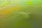 ici_a_la mer