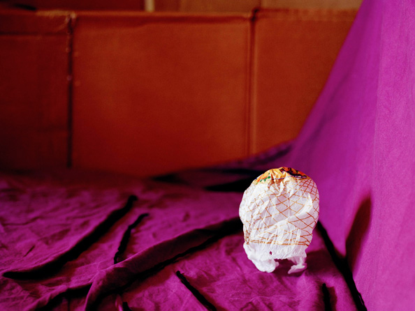 Tissue 1