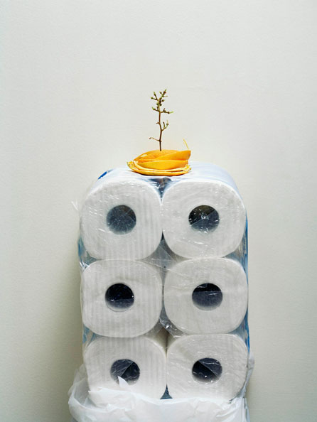 Grape stem, orange skin and toilet papers