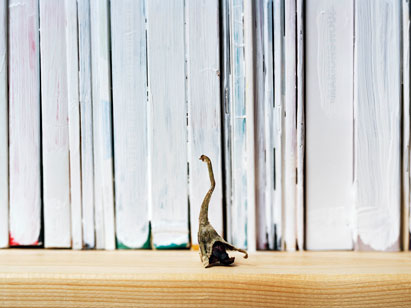 Stalk of Eggplant
