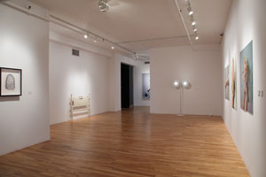 view of the show1