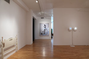 view of the show1