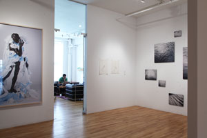 view of the show1