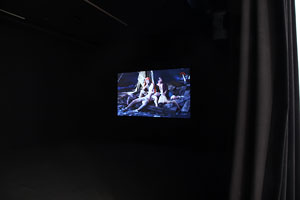 view of the show1