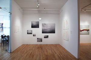 view of the show1