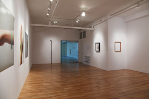 view of the show1