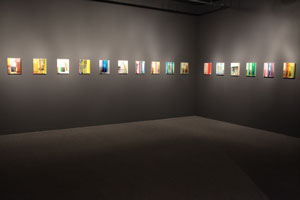 view of the show1