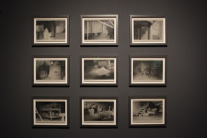 view of the show1