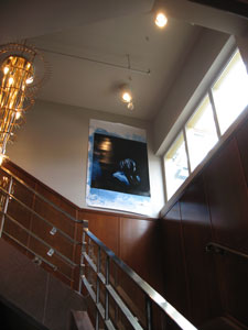view of the show 2