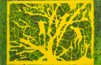 Yellow Storm