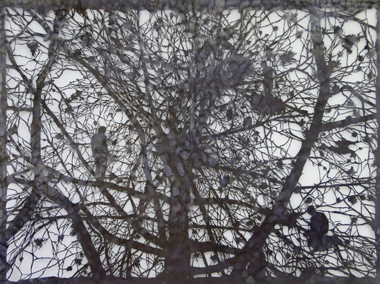 Nest