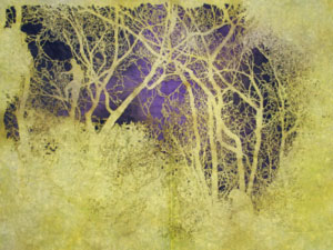 In the safety of trees
