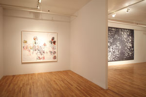 view of the show1