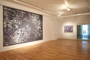 view of the show1