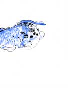 underwater