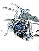 underwater