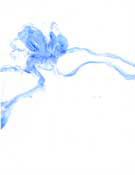 underwater