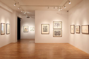 view of the show1