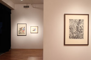 view of the show1