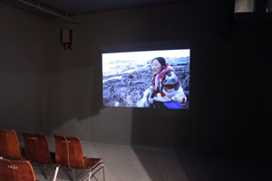 view of the show1