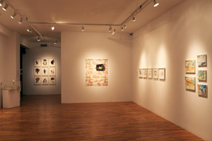 view of the show1