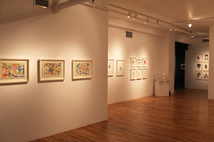view of the show1