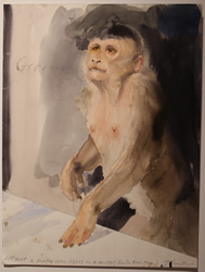 TG2