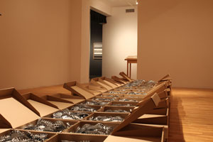 view of the show1