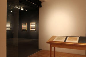 view of the show1