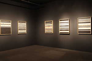 view of the show1