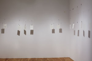 view of the show1