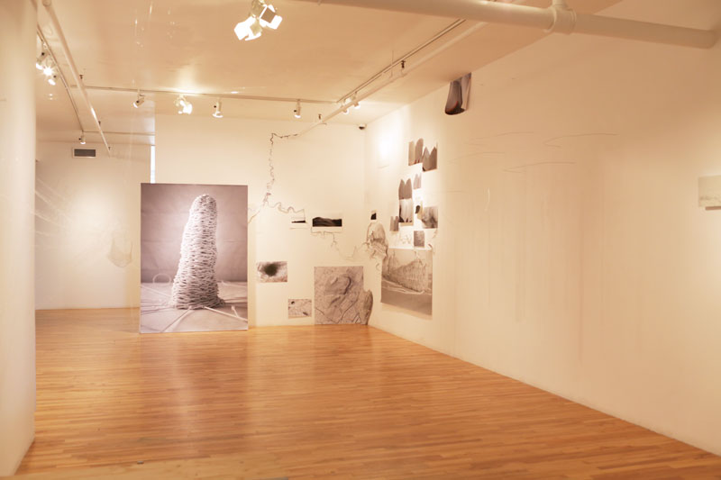 View of the show