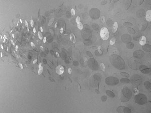 Secret Visibility (detail)