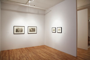 view of the show1