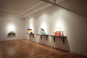 view of the show1