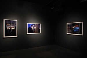 view of the show1