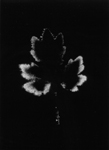 Corps 636