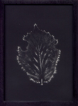 Corps 471