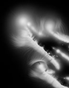 Mirroir 10