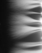Mirroir 5