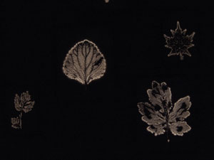 Corps de lumiere