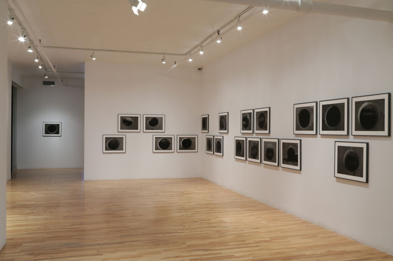 View of the show